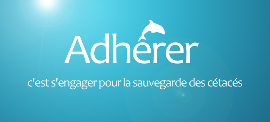 adherer2